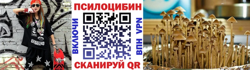 Псилоцибиновые грибы Magic Shrooms  мега ссылки  Осташков  где купить  